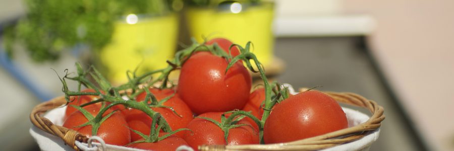 vegineo-tomaten