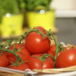 tomaten-vegineo